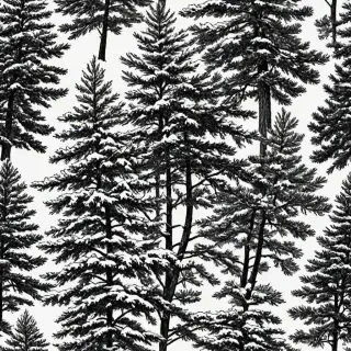 pine tree clipart black and white