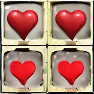 videos de amor