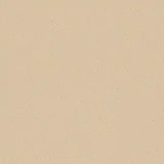 neutral computer background