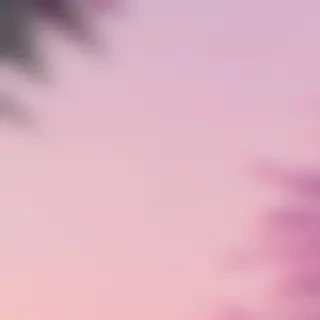 wallpapers for phones aesthetic
