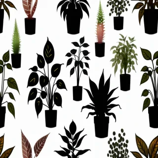 plants transparent
