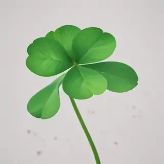 4 leaf clover png