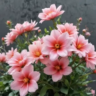 cute aesthetic flower wallpapers