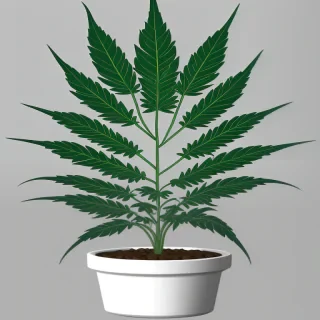 pot leaf png