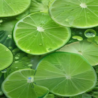 lime green background