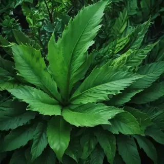 iphone wallpaper green
