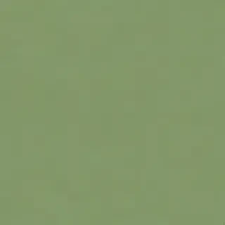 green bg plain