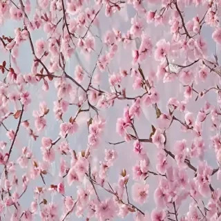 spring desktop wallpaper aesthetic