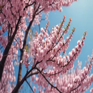 springtime iphone wallpaper