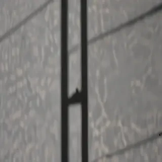 window shadow