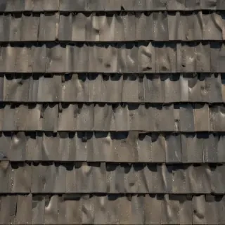 pictures of shingles