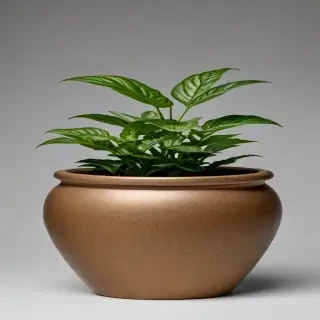 pot png