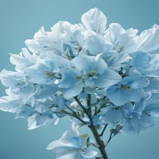 light blue wallpaper iphone