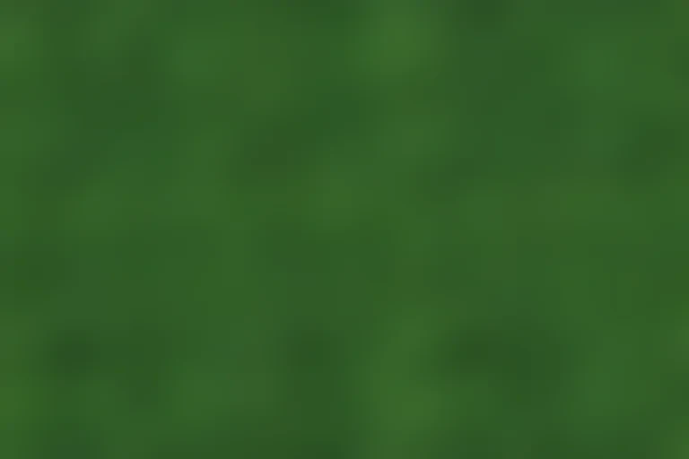 green bg plain