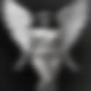 black and white angel
