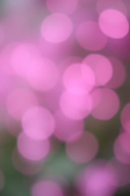 bokeh background with soft pink and purple circles, captured at f/2.8, ISO 100, 50mm lens, shallow depth of field, blurred focus, DSLR camera