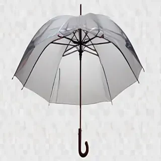 umbrella transparent background