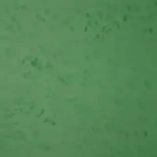 green background