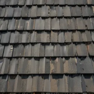 pictures of shingles