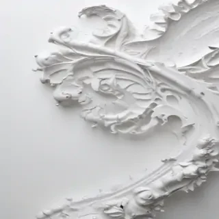 white background