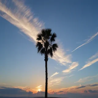 clear sky