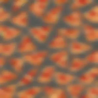 pizza slice png