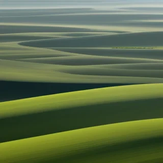 plain zoom backgrounds