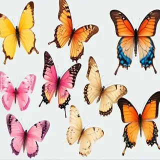 butterflies transparent background
