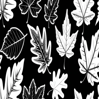 clipart leaf black and white