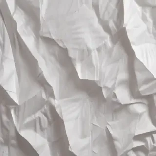 wrinkled paper texture