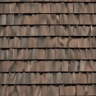 shingles images