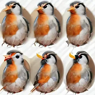 bird pngs