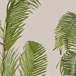 palm tree leaf png