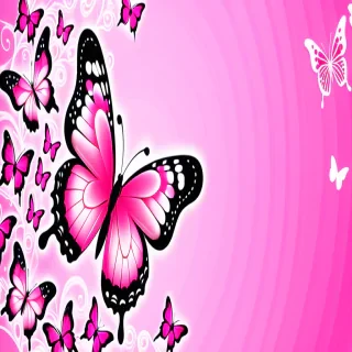 cute pink butterfly wallpaper