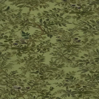 olive green aesthetic wallpaper