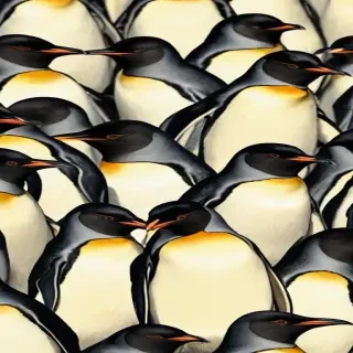 penguins background