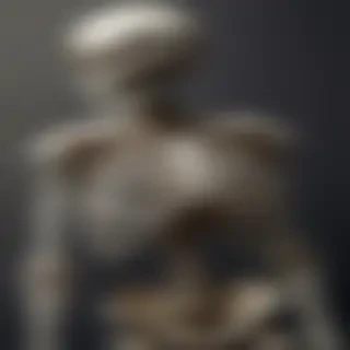 skeleton iphone wallpaper