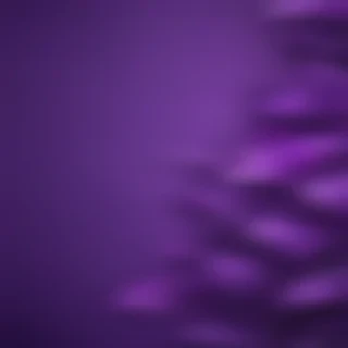 wallpapers for iphone purple
