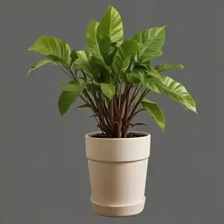 potted plant png
