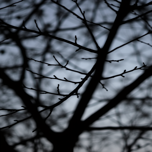 Create a high-resolution image of a simple black silhouette of a tree branch, use a 50mm lens, settings at f/2.8 for a shallow depth of field, ISO 200, shot from a low angle view, using a DSLR camera.