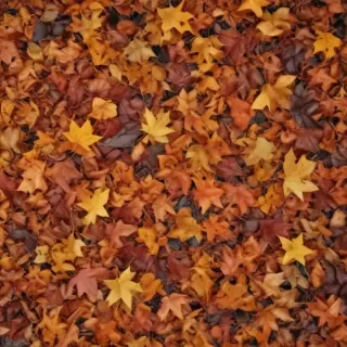 fall leaves aesthetic