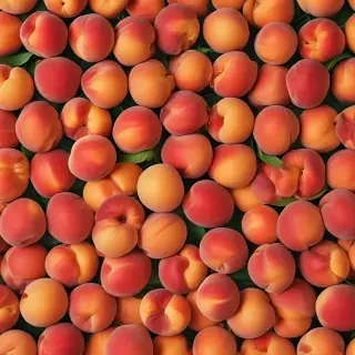 peaches background