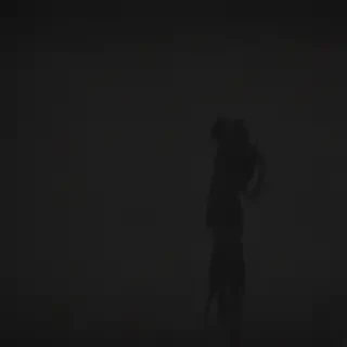 shadow wallpaper