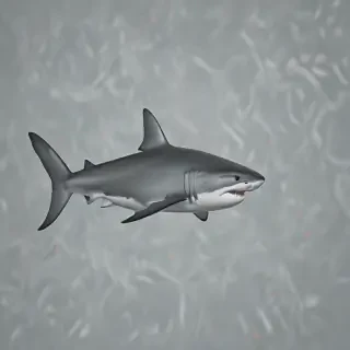 shark background