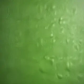 textured green background