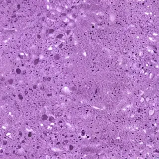 light purple glitter background