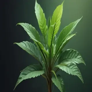 plant iphone wallpaper