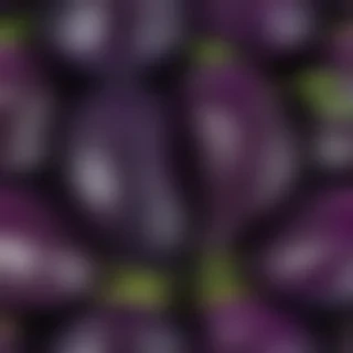 new eggplant friday