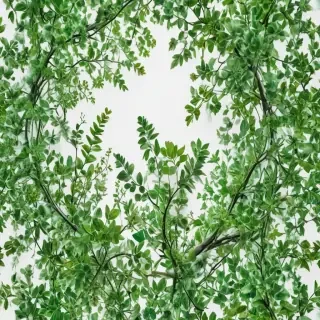 green on white background