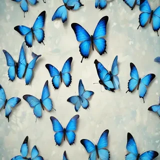 blue butterfly background